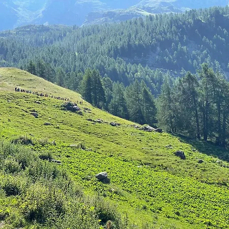 Hotel Rifugio Guide Frachey Saint Jacques