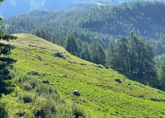 Hotel Rifugio Guide Frachey Saint Jacques